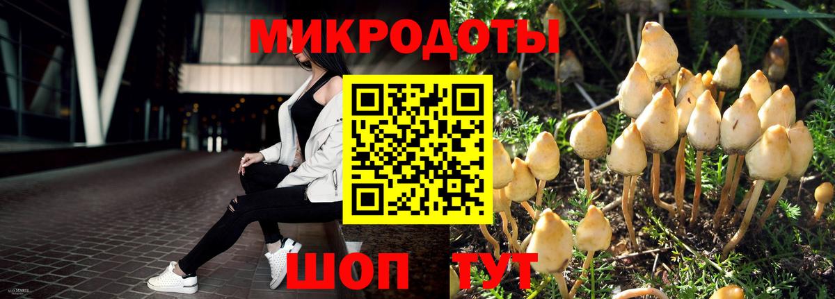 Псилоцибиновые грибы мухоморы  Вход с VPN  Ейск 